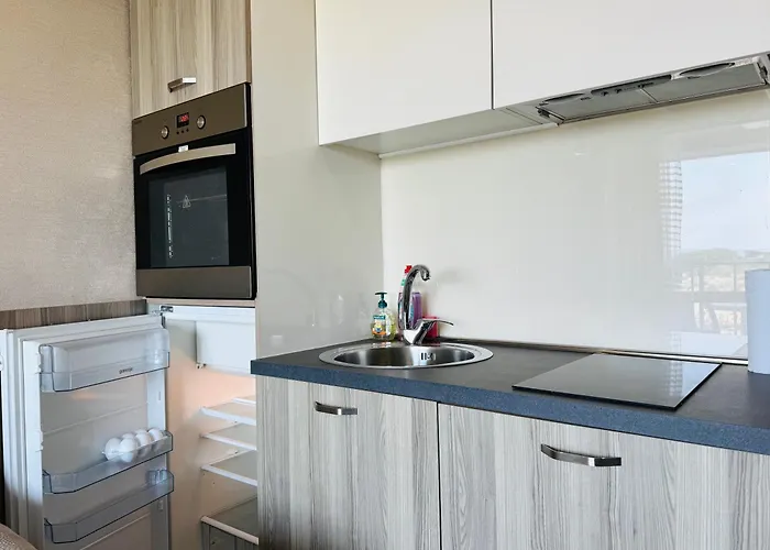 Paradiso B 411 Large Sea View Διαμέρισμα Νεσέμπαρ